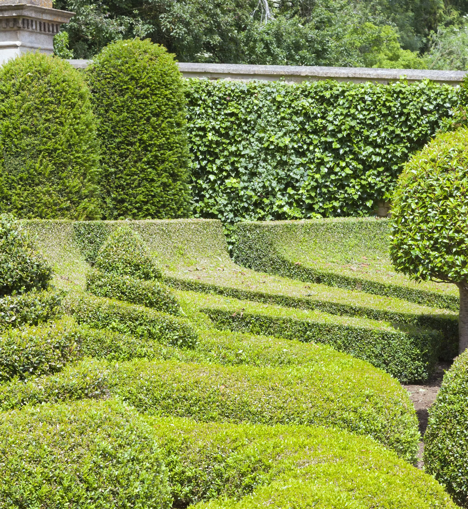 Leading Tree Removal Professionals in Ottawa