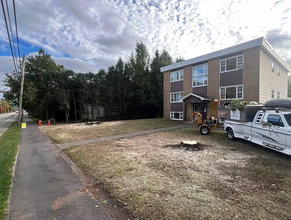 Professional Tree Services Ottawa