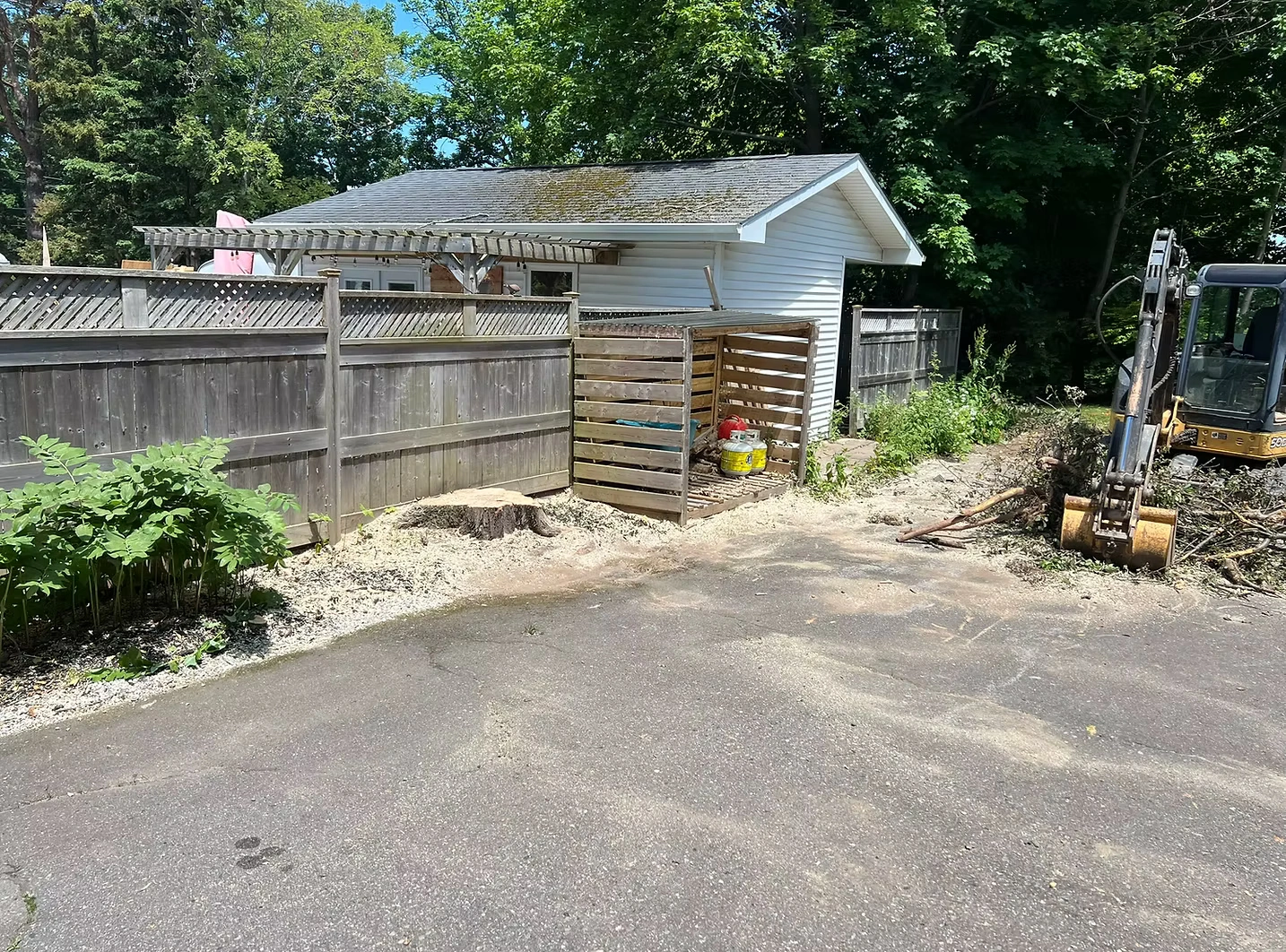 Leading Tree Removal Professionals in Ottawa
