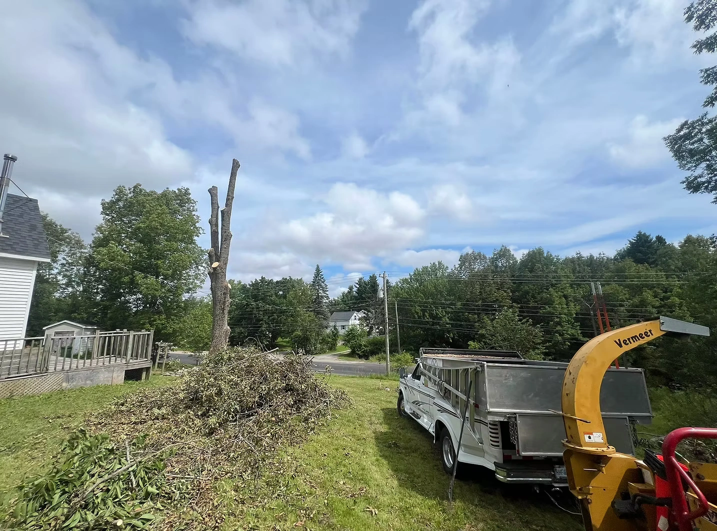 Leading Tree Removal Professionals in Ottawa