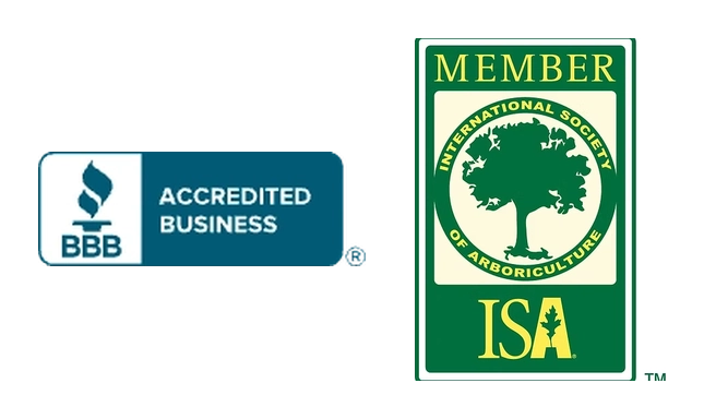 BBB Accredited Business and ISA Member certification logos displayed side by side.